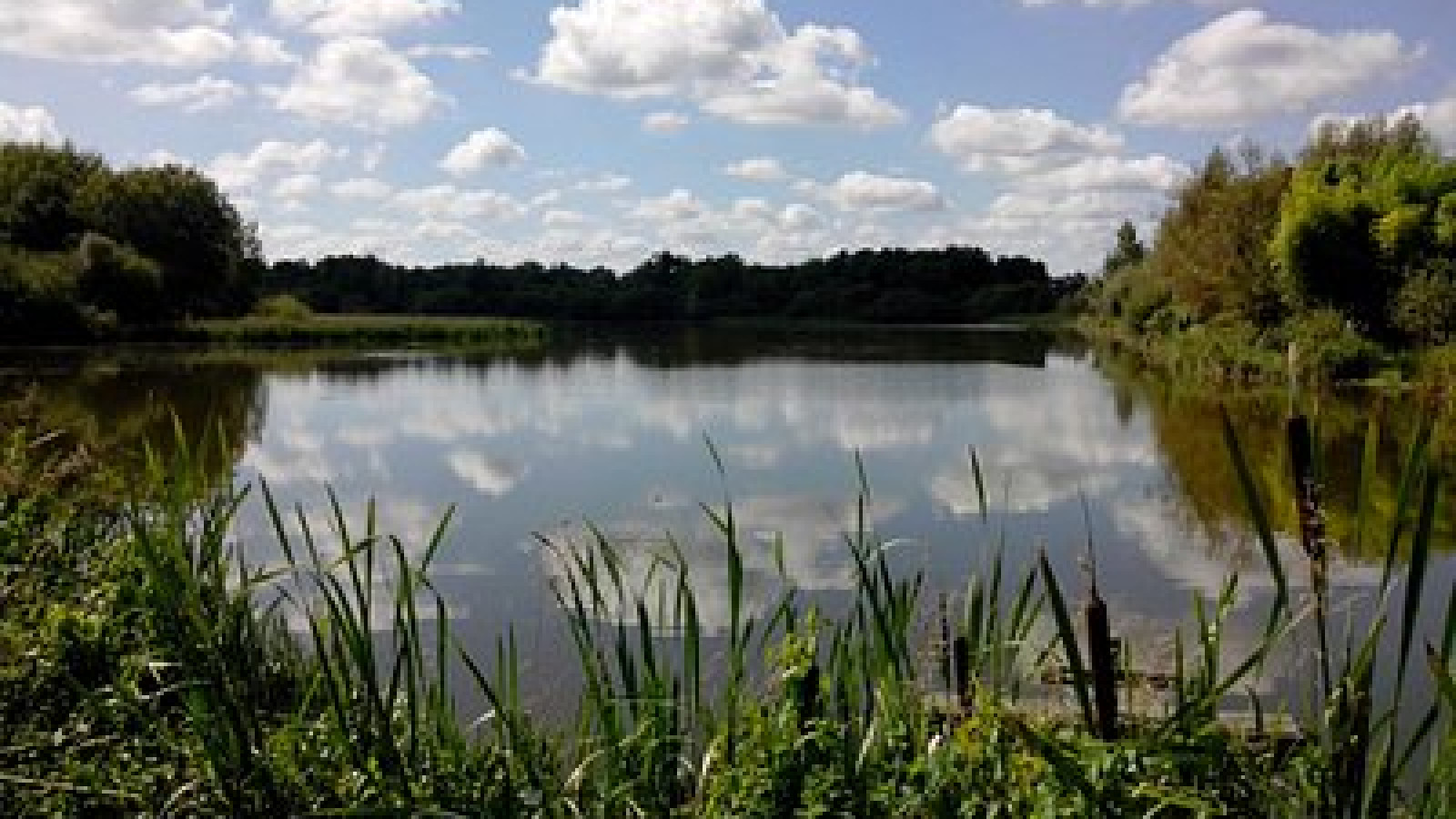 Terrain constructible de 805m2 à La Ferté-Imbault