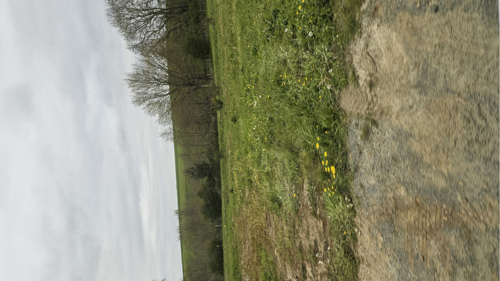 Terrain constructible de 927m2 à La Séguinière