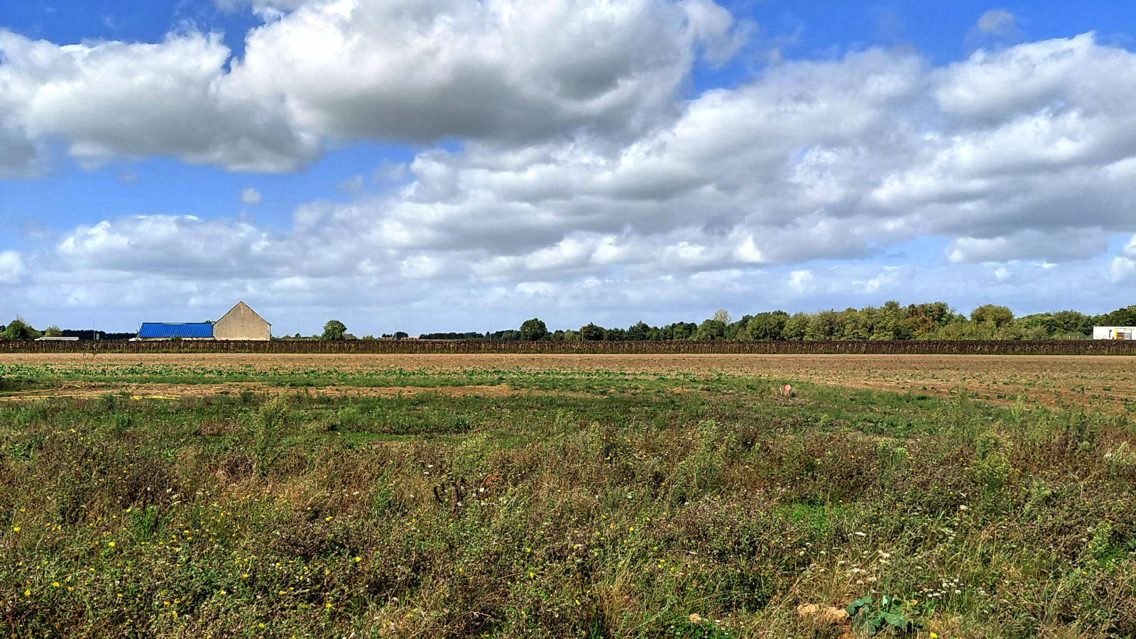 Terrain constructible de 420m2 à Cinq-Mars-la-Pile