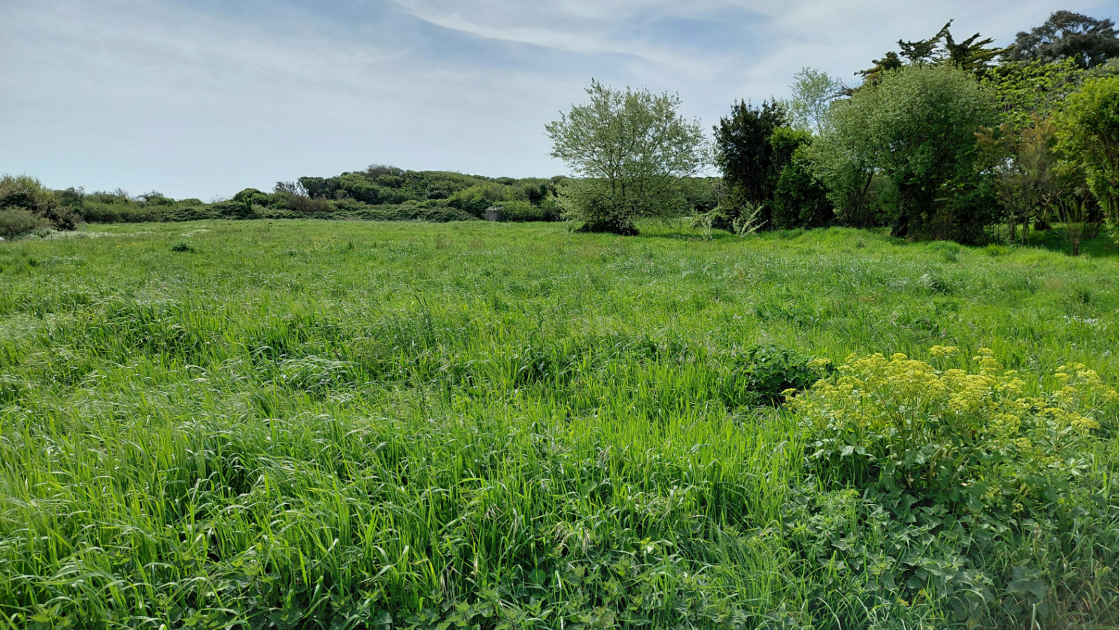 Terrain constructible de 307m2 à Brandérion