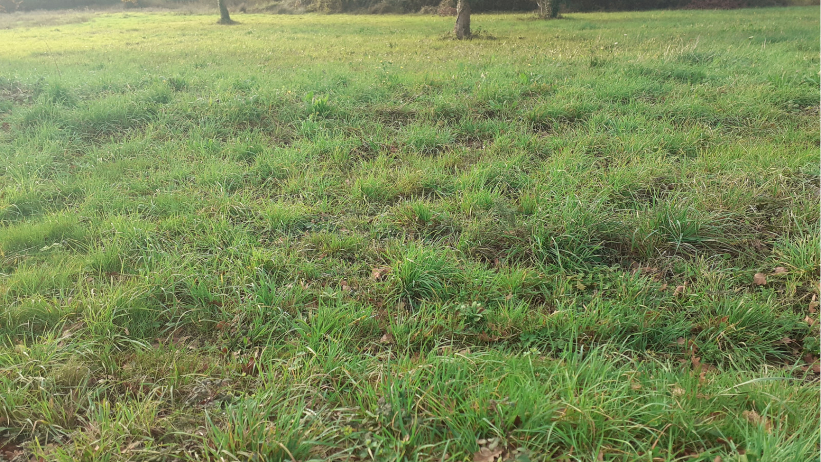 Terrain constructible de 1230m2 à Pontchâteau