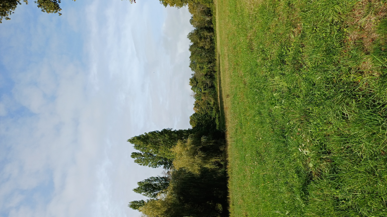 Terrain constructible de 355m2 à Nozay