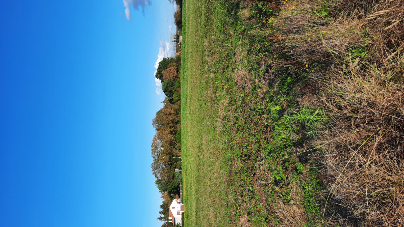 Terrain constructible de 500m2 à Peyrehorade