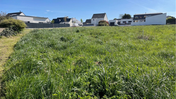 plouhinec bonne maison4.jpg