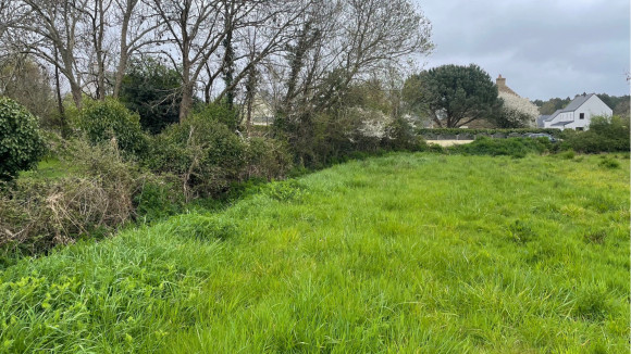 ERDEVEN VIABILIS 4.jpg