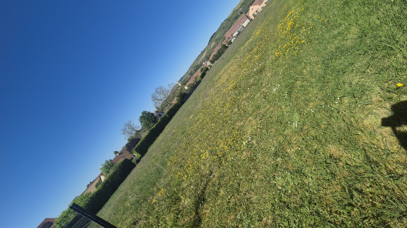 Terrain Escolives-Sainte-Camille.jpg