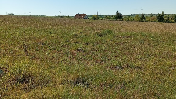 Terrains ORGY - Chevannes - ORDIM.jpg