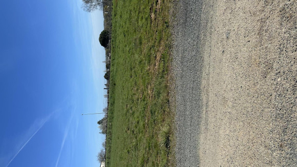 Lot 6 brissac quincé les joliettes.jpg