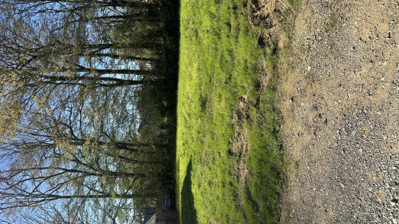 Lot 14 brissac quincé les joliettes.jpg