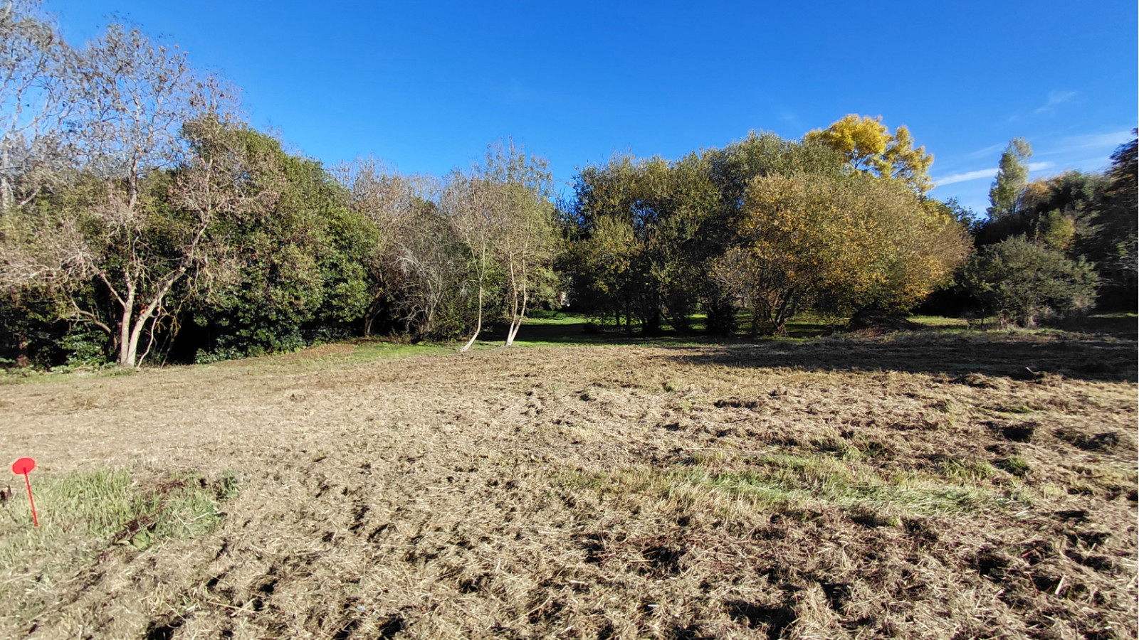 Terrain constructible de 650m2 à Saint-Cyr-en-Talmondais