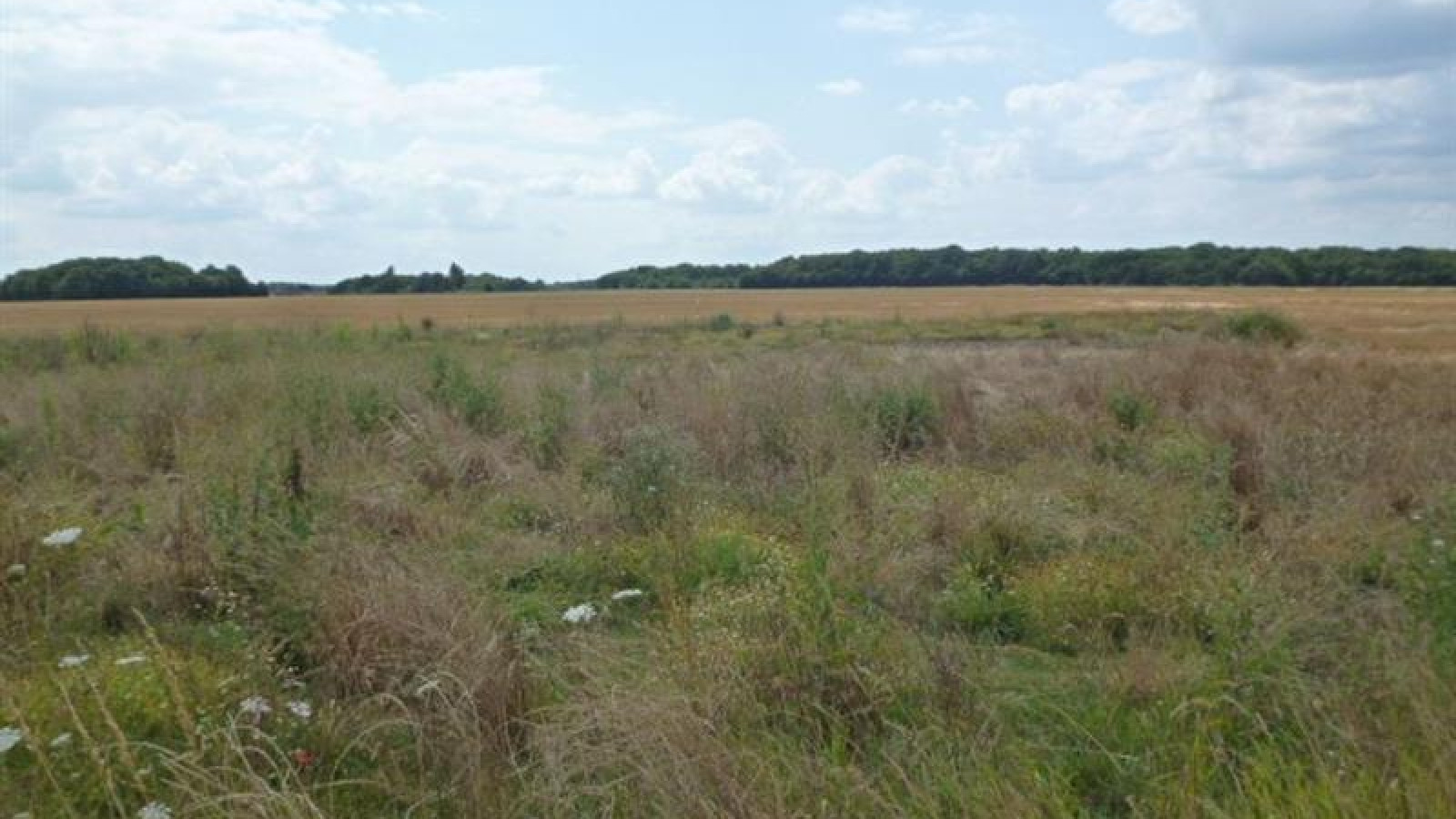 Terrain constructible de 1209m2 à Saint-Germain-des-Prés