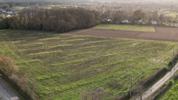 photo feneu(1)(1)(3)(1)(1).PNG