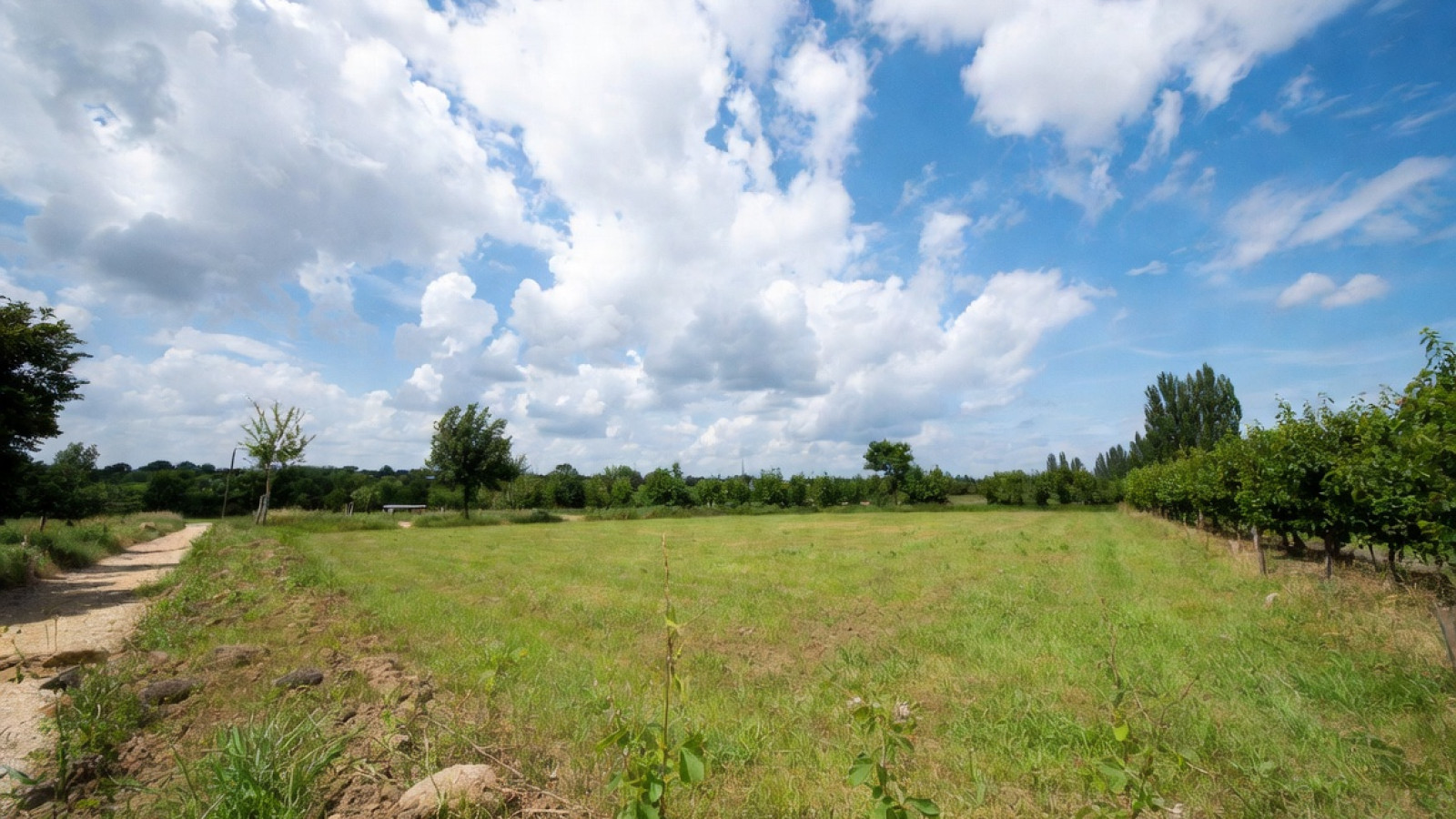 Terrain constructible de 393m2 à Ménestreau-en-Villette