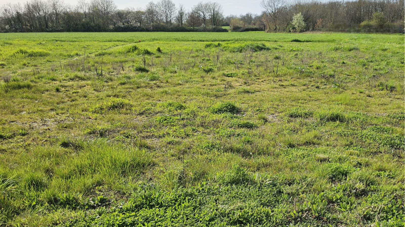 Terrain constructible de 1500m2 à Loches