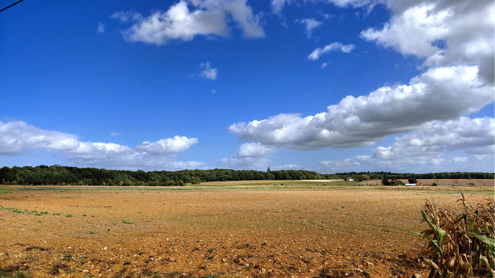 Terrain constructible de 503m2 à Veigné