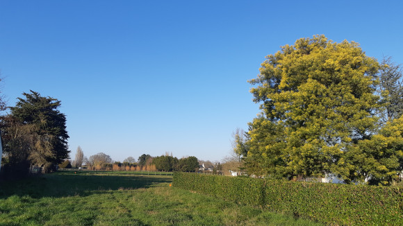 20230207_170154.jpg