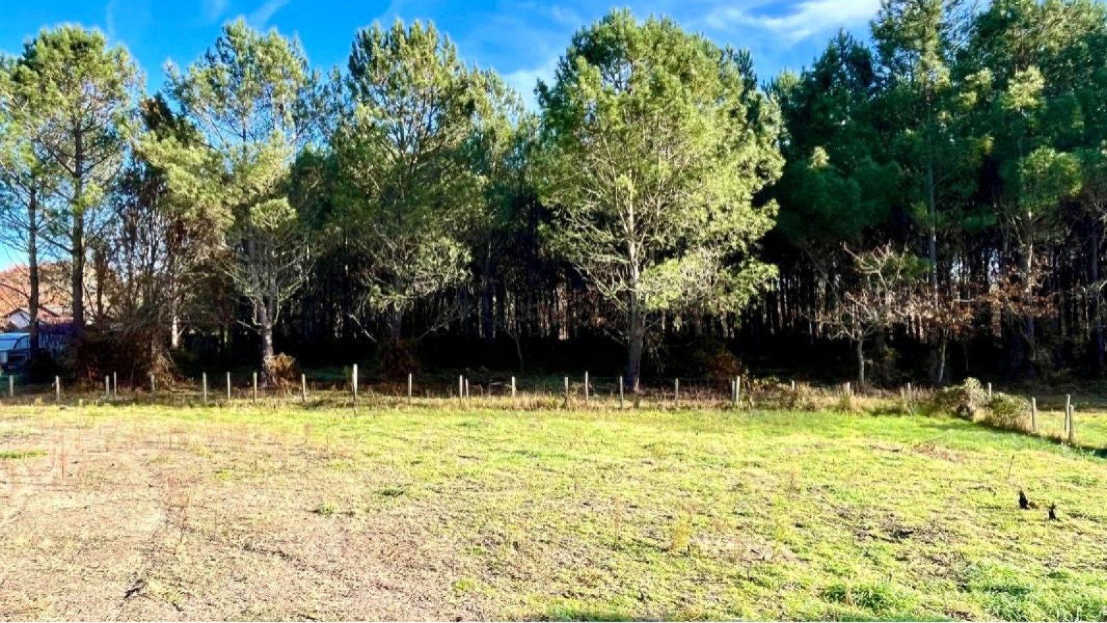 Terrain constructible de 805m2 à Lugos