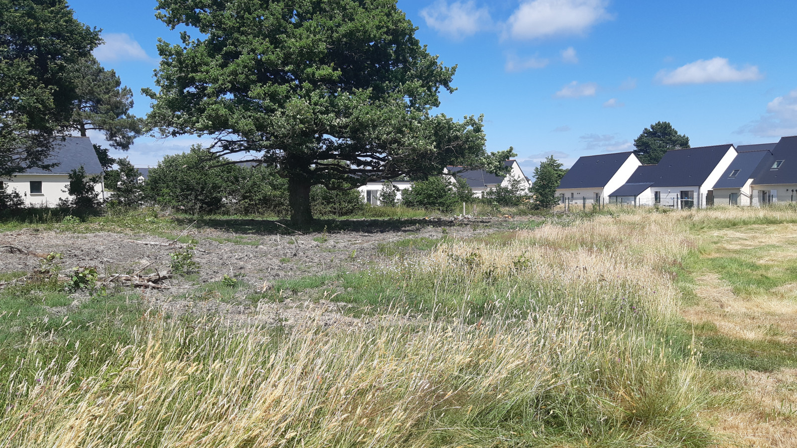 Terrain constructible de 530m2 à Saint-Dolay