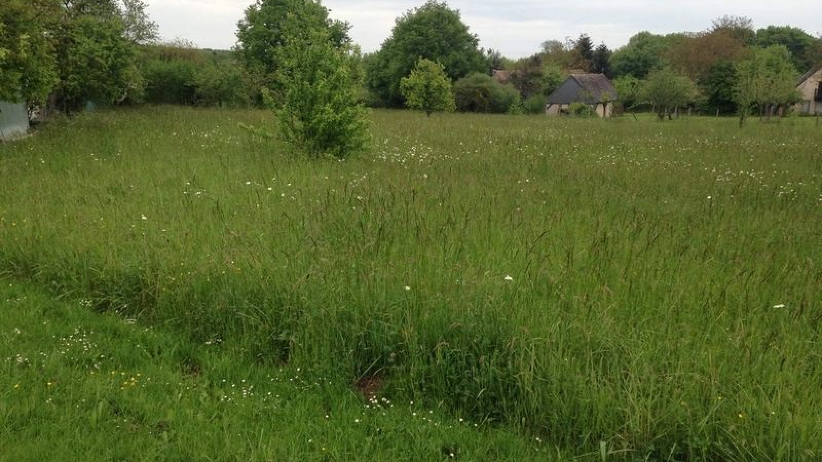 Terrain constructible de 525m2 à Langeais