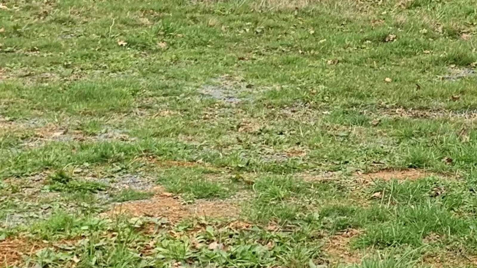 Terrain constructible de 662m2 à Sadirac