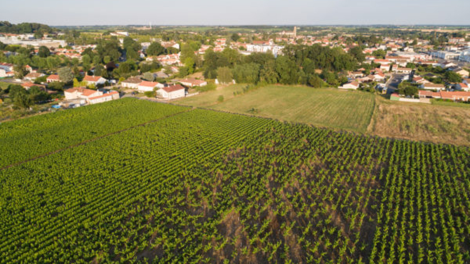 Terrain constructible de 408m2 à Vallet