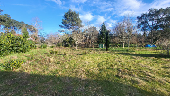 Terrain Lévignac.jpg
