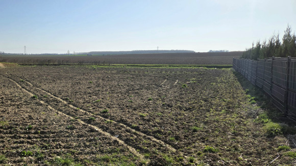 Terrain Aiserey.jpg