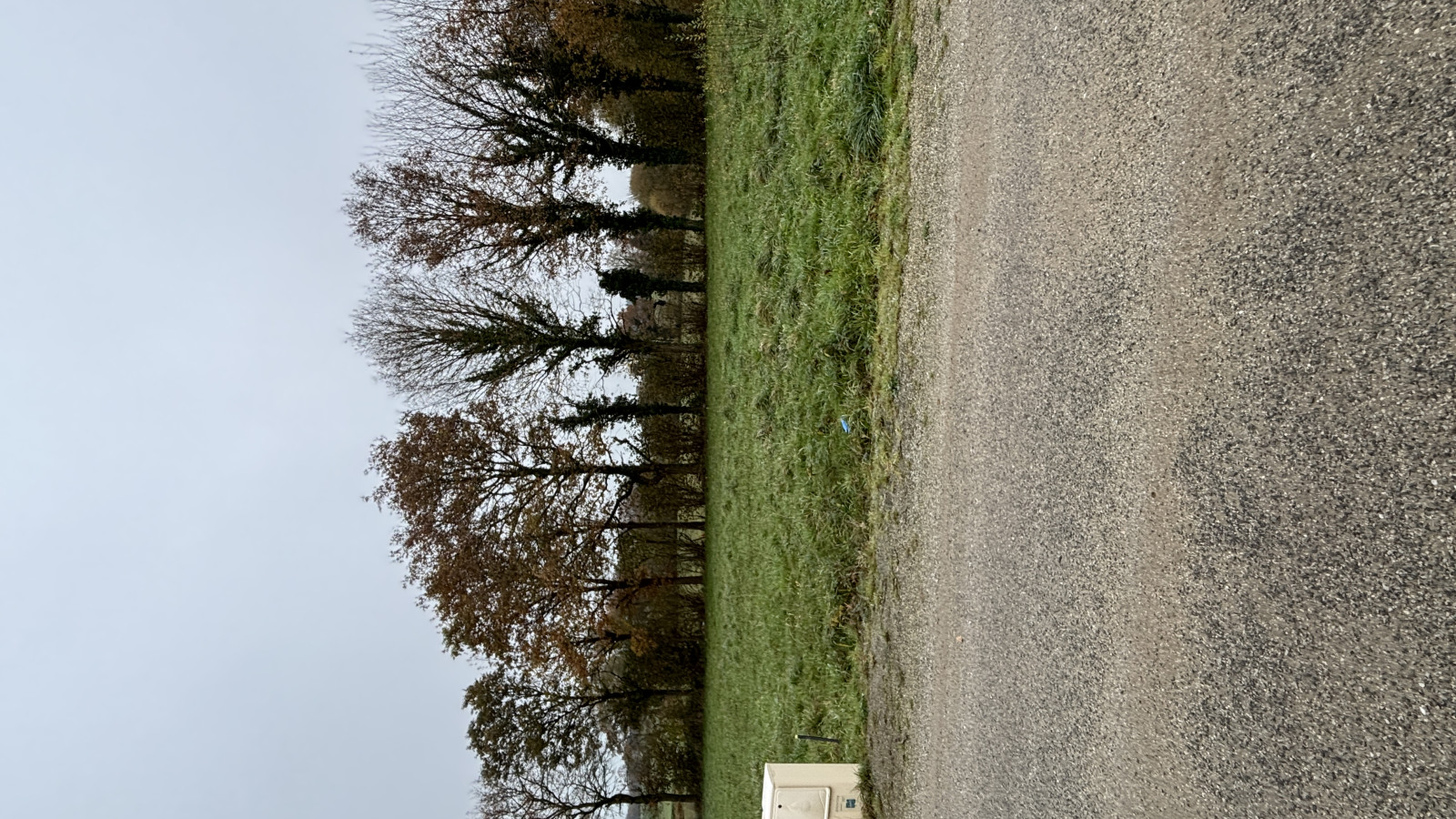 Terrain constructible de 240m2 à Noyal-Muzillac