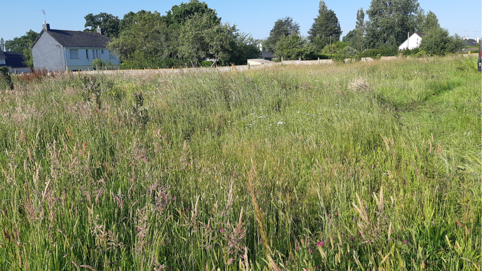 Terrain constructible de 1100m2 à Fégréac