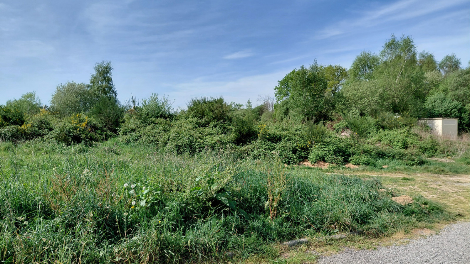 Terrain constructible de 254m2 à Kervignac