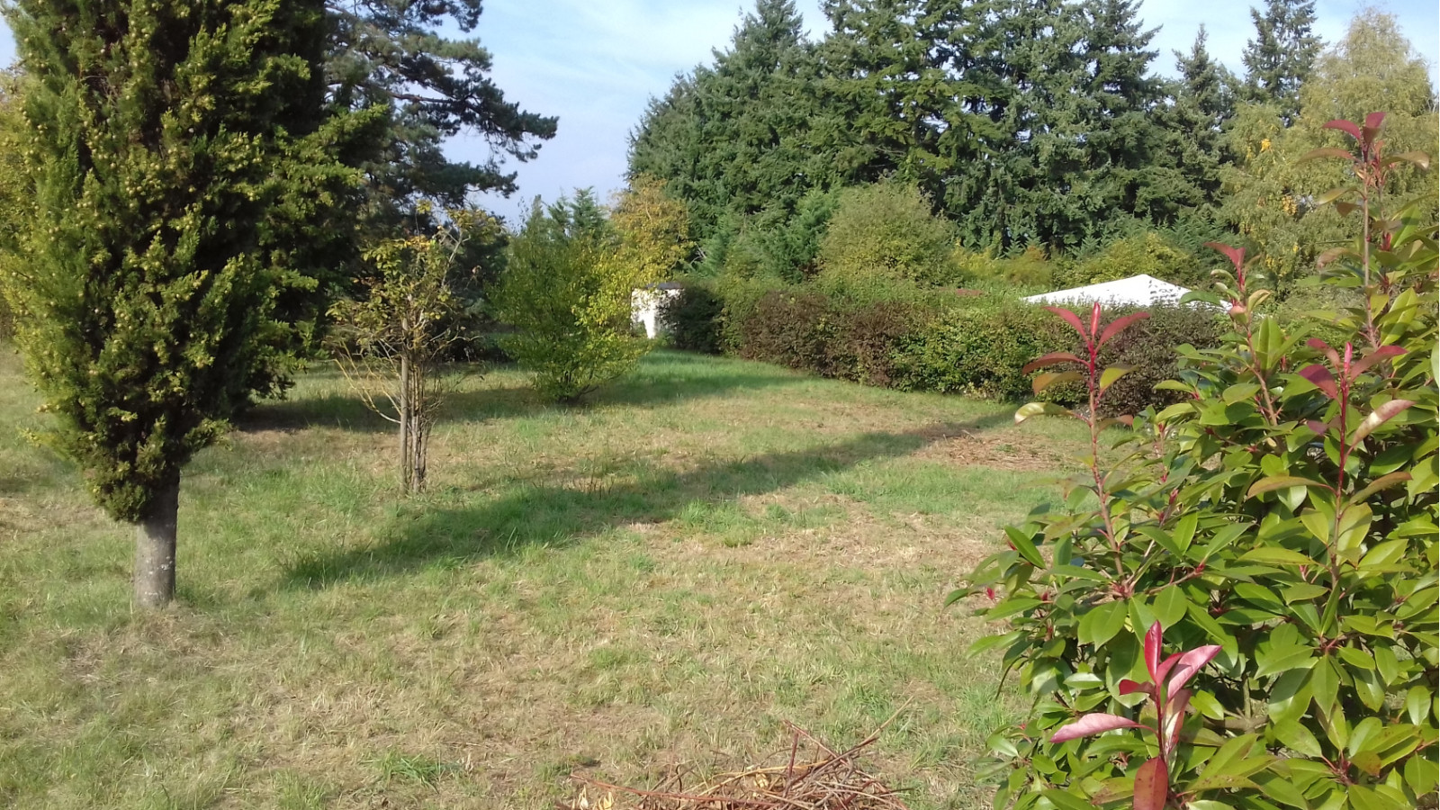 Terrain constructible de 656m2 à Montigny-sur-Loing