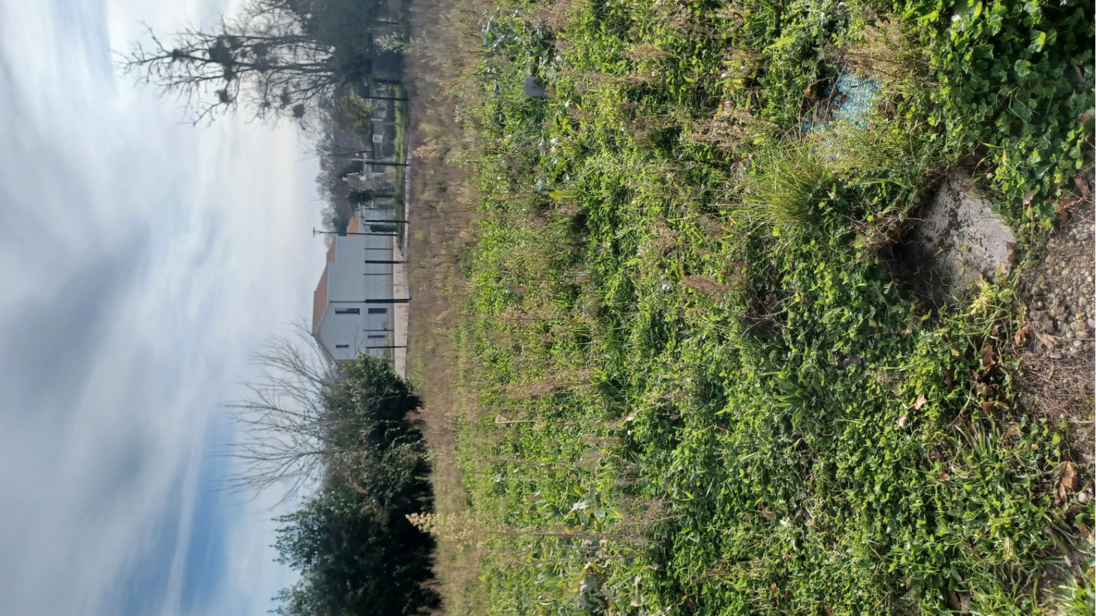 Terrain constructible de 606m2 à Saint-Ciers-d'Abzac