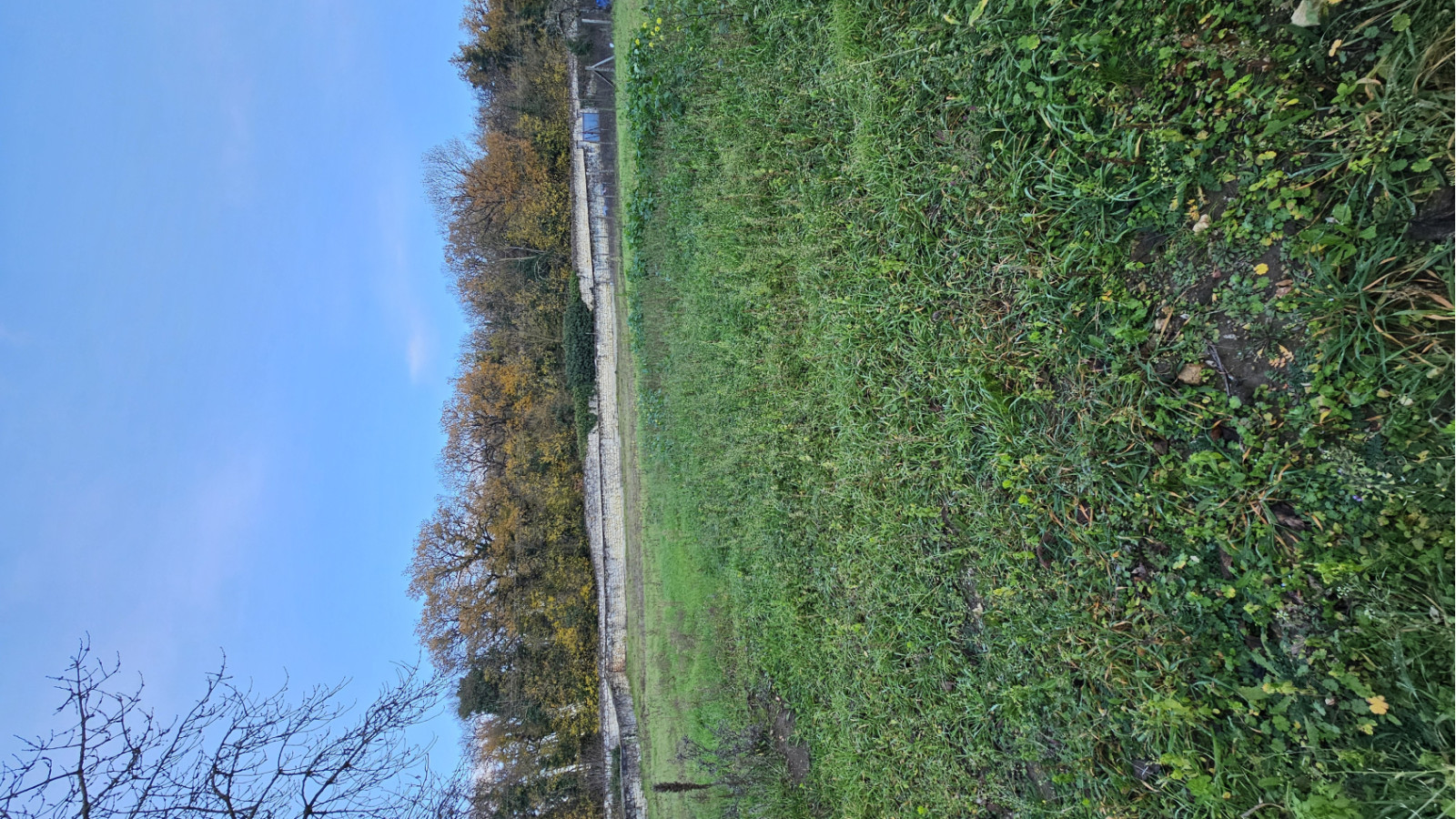Terrain constructible de 1475m2 à Bellevigne-les-Châteaux