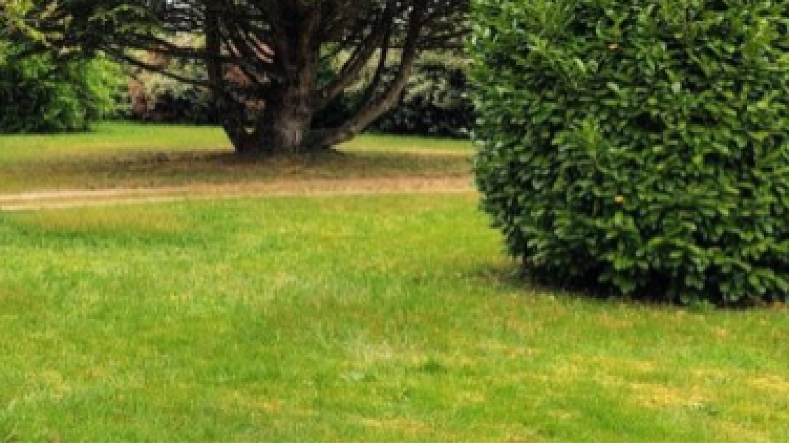 Terrain constructible de 270m2 à Eysines