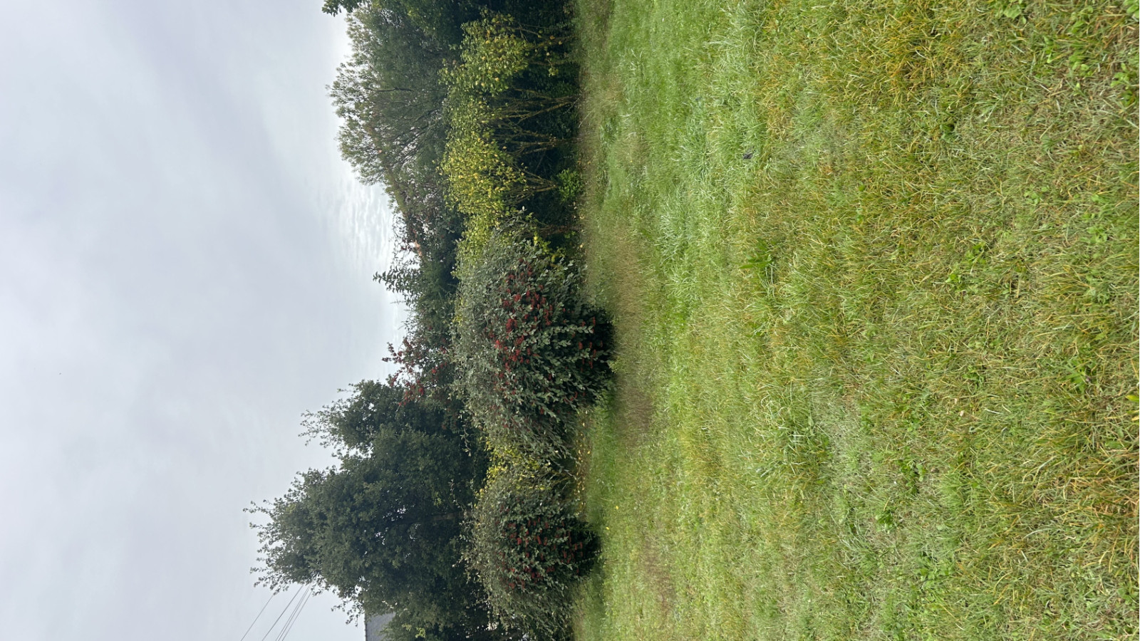Terrain constructible de 506m2 à La Turballe