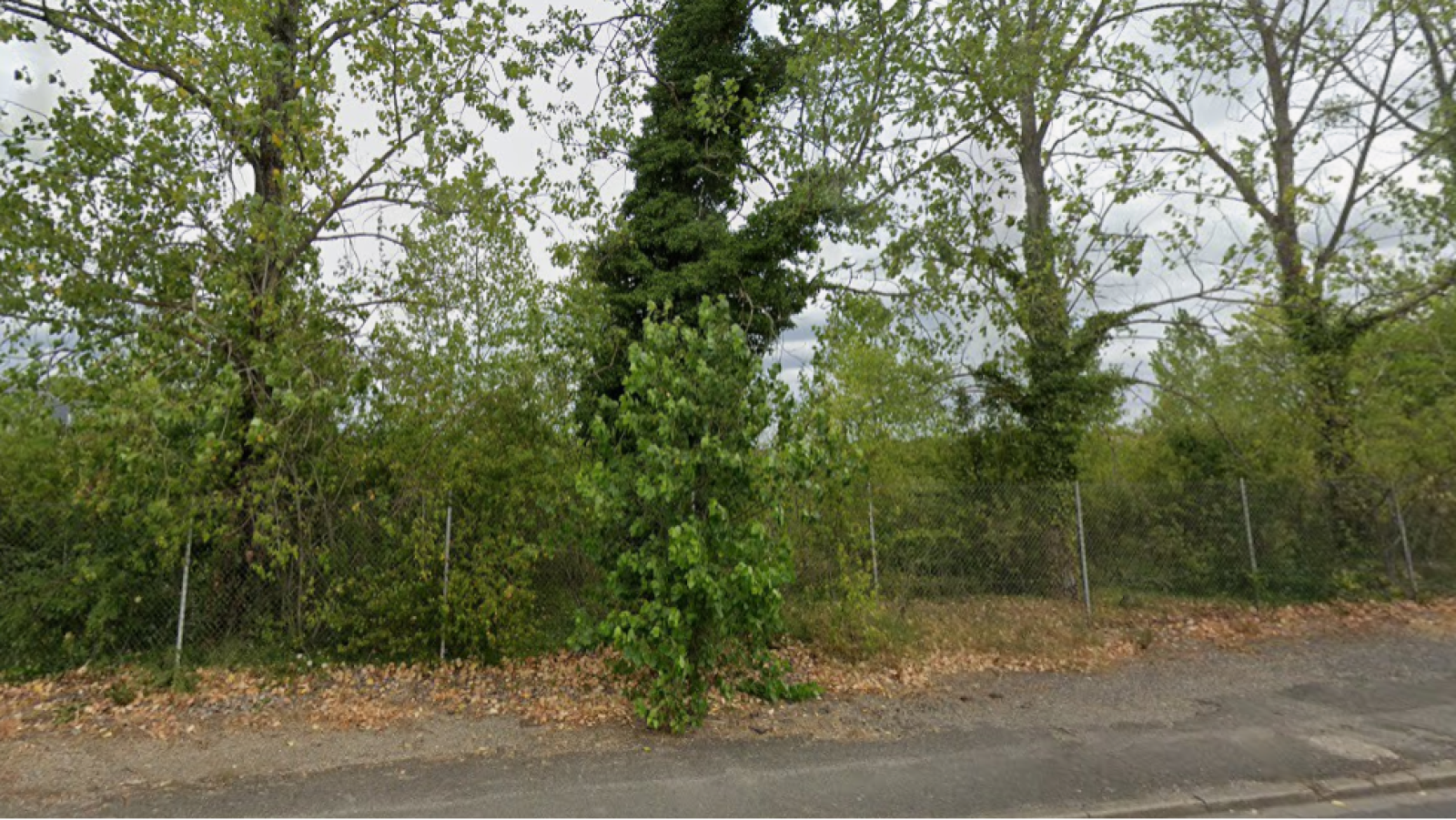 Terrain constructible de 555m2 à La Chapelle-Saint-Mesmin