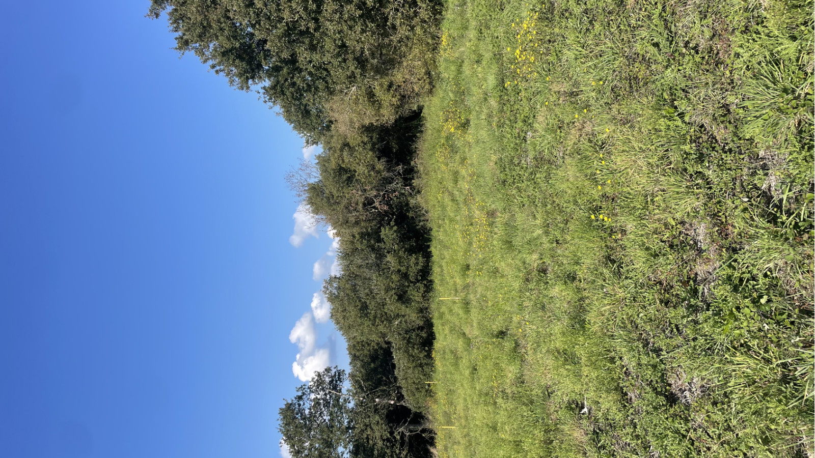 Terrain constructible de 4000m2 à La Turballe