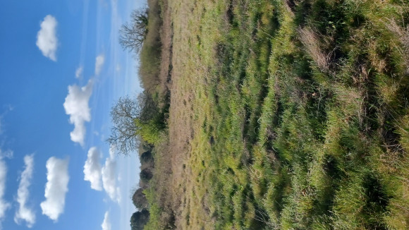 20260326_095950.jpg