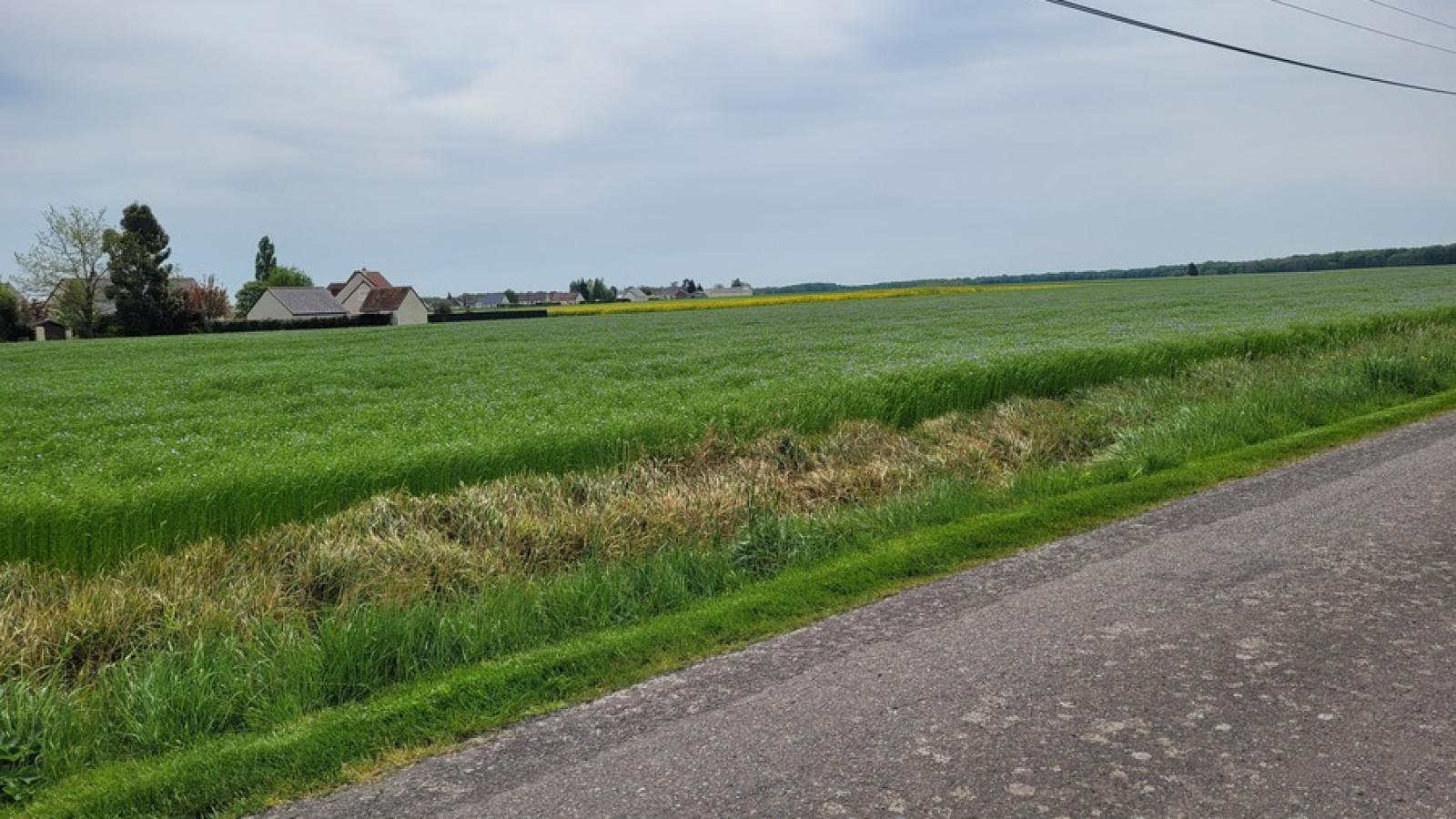 Terrain constructible de 478m2 à Saint-Laurent-en-Gâtines