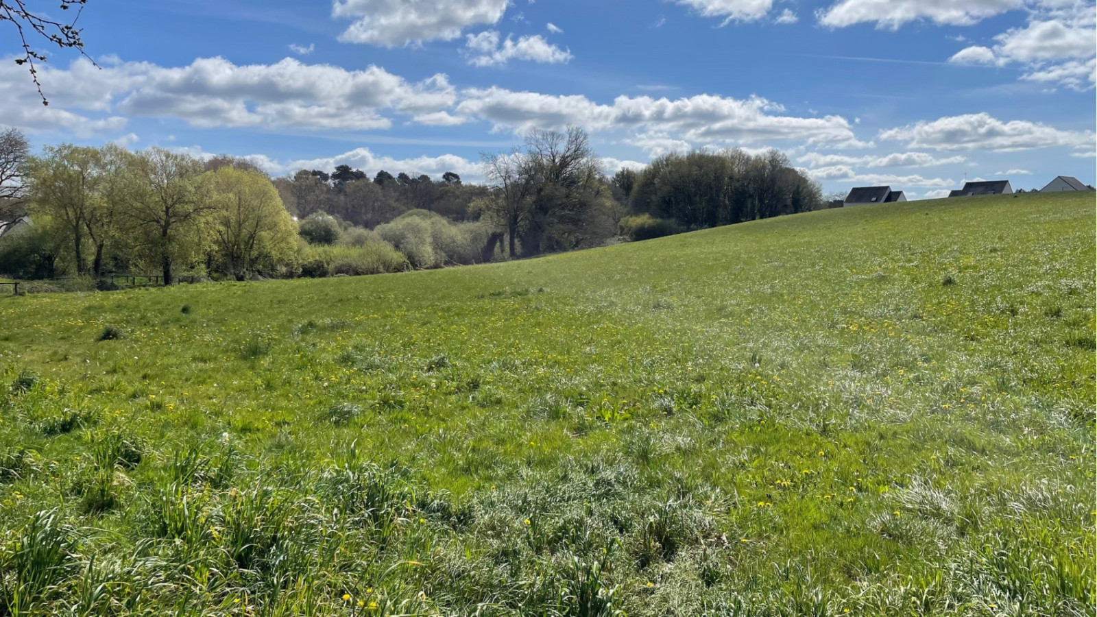 Terrain constructible de 434m2 à Plouay