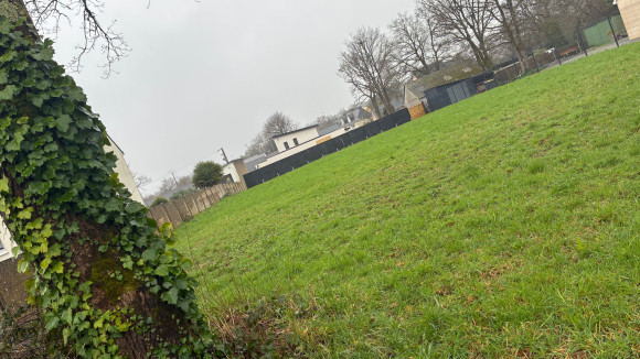image0(49).jpeg