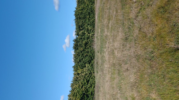 20260326_095337.jpg
