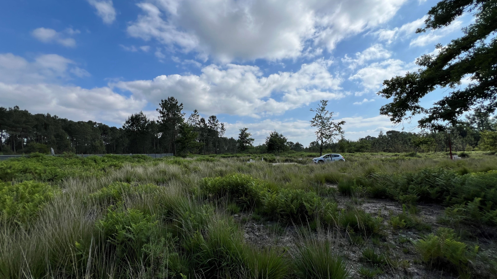 Terrain constructible de 450m2 à Belin-Béliet