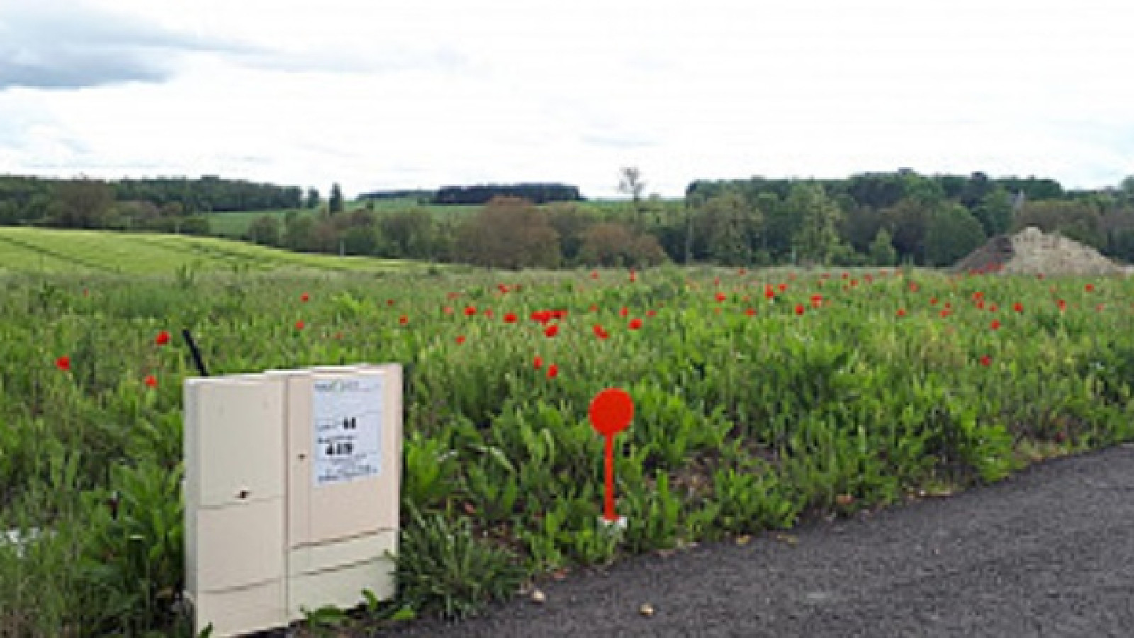 Terrain constructible de 450m2 à Sainte-Maure-de-Touraine