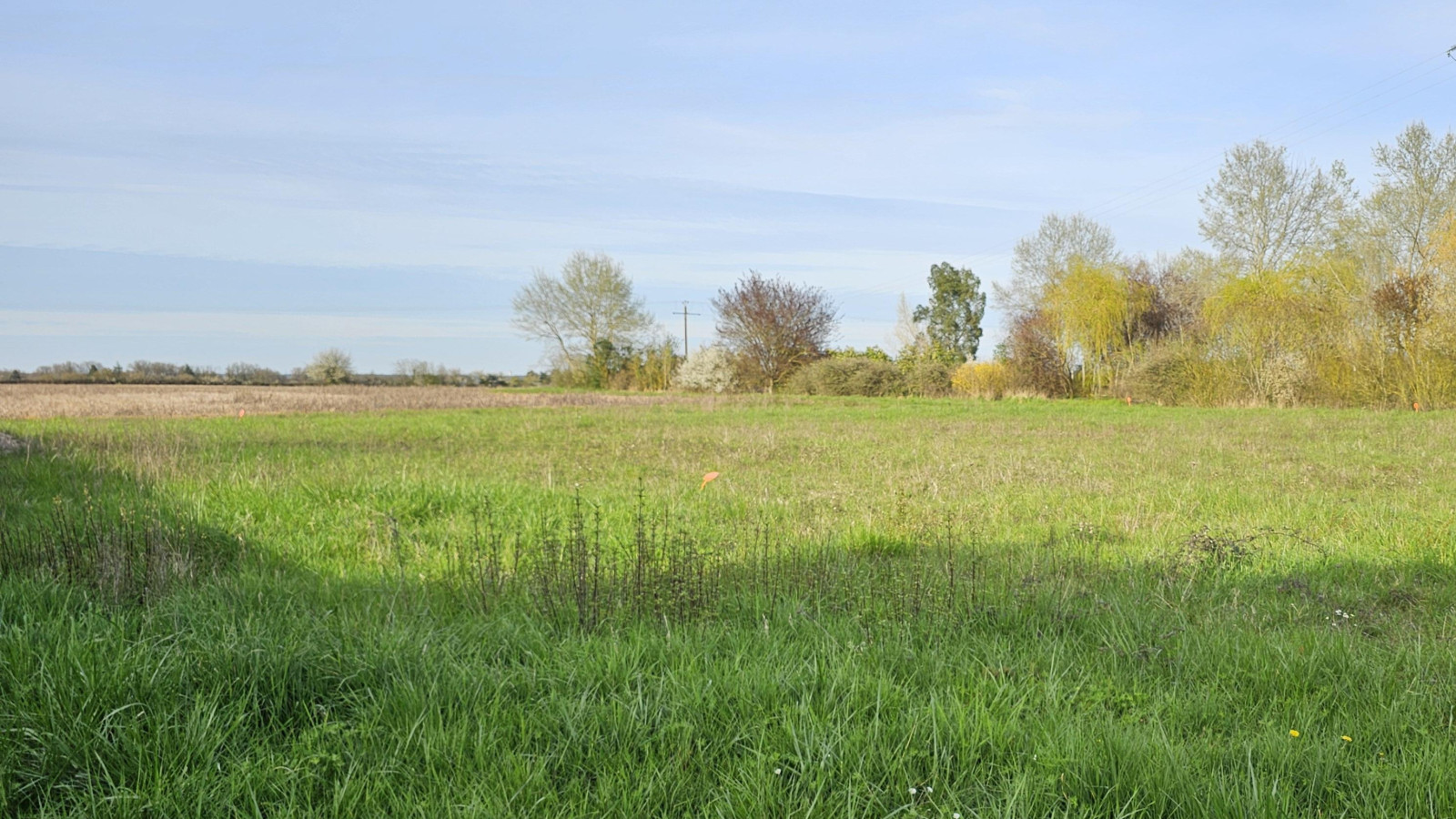 Terrain constructible de 503m2 à Veigné