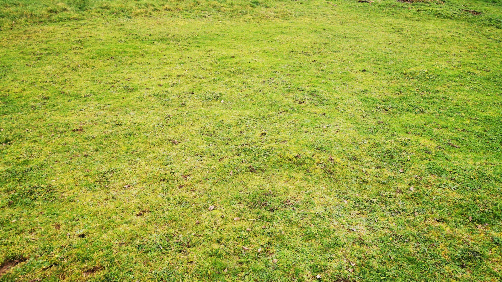 Terrain constructible de 591m2 à Montbazon