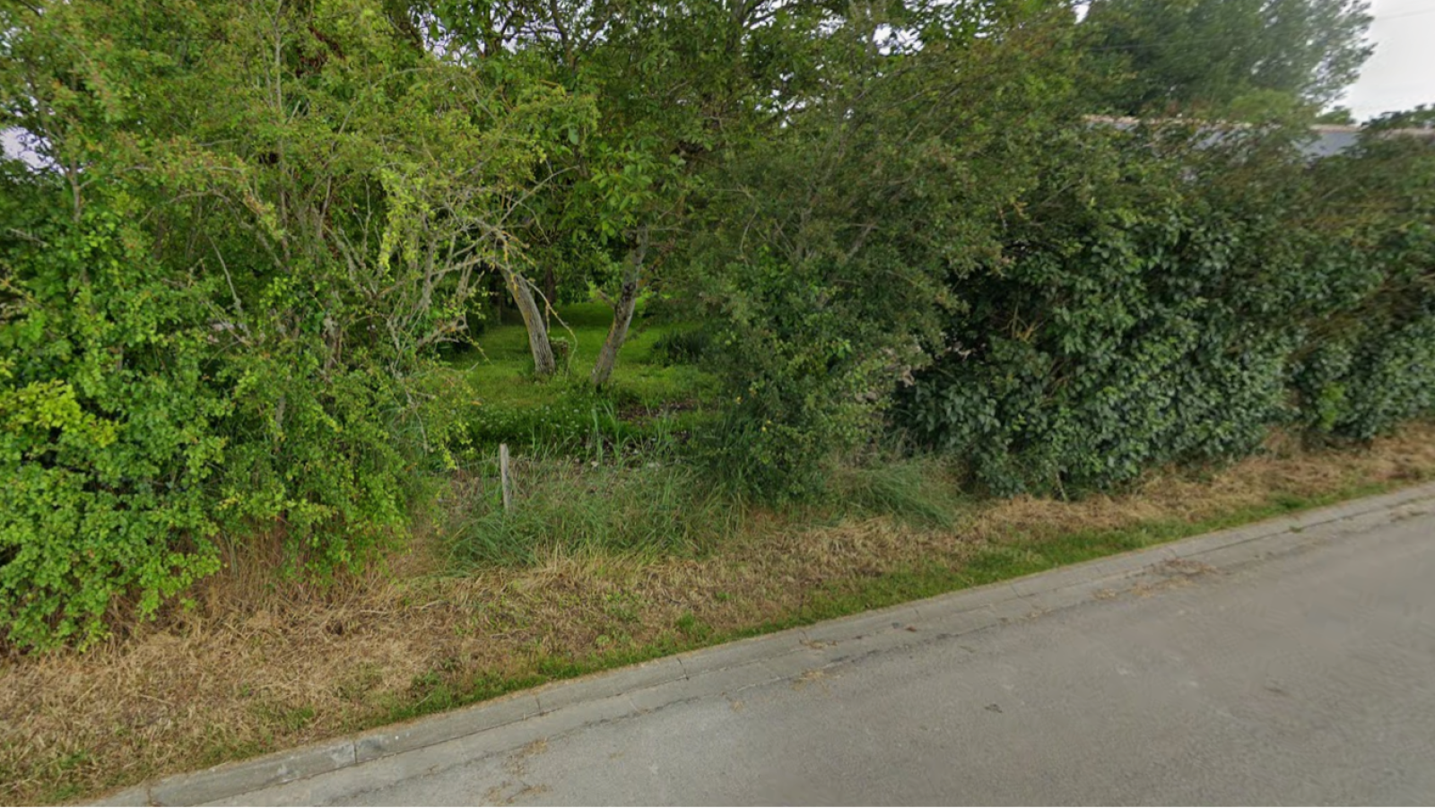 Terrain constructible de 2331m2 à Baccon