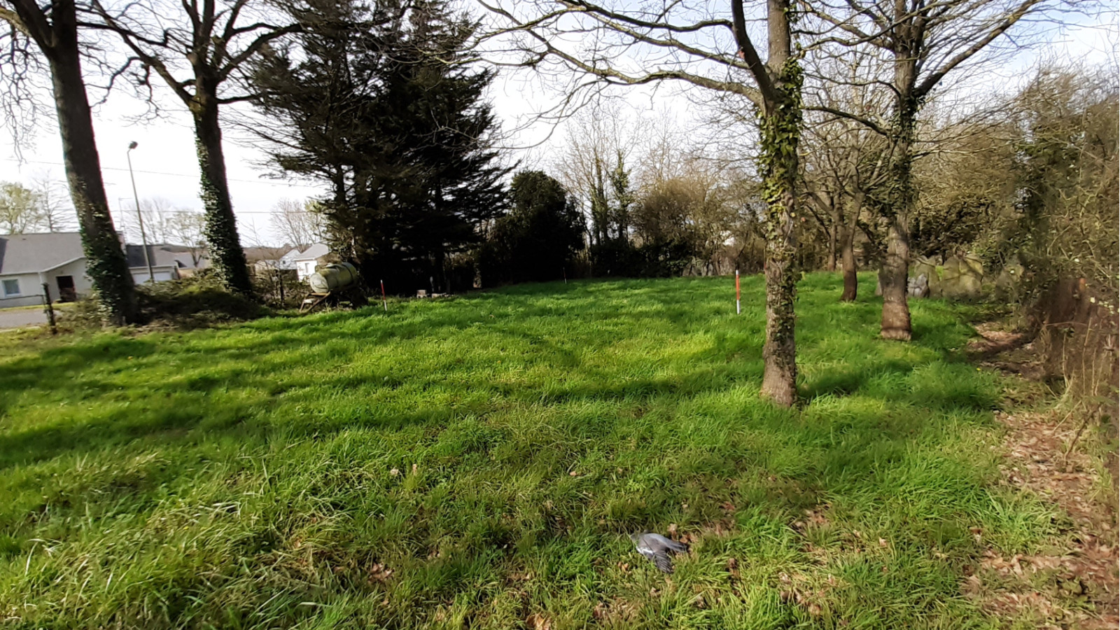 Terrain constructible de 453m2 à Bréal-sous-Montfort