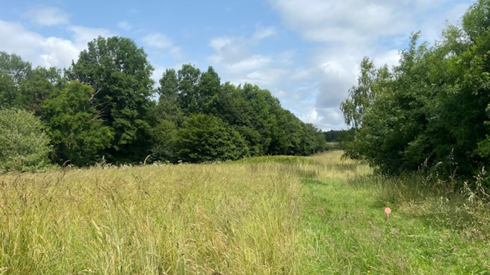 Terrain constructible de 890m2 à Plessé