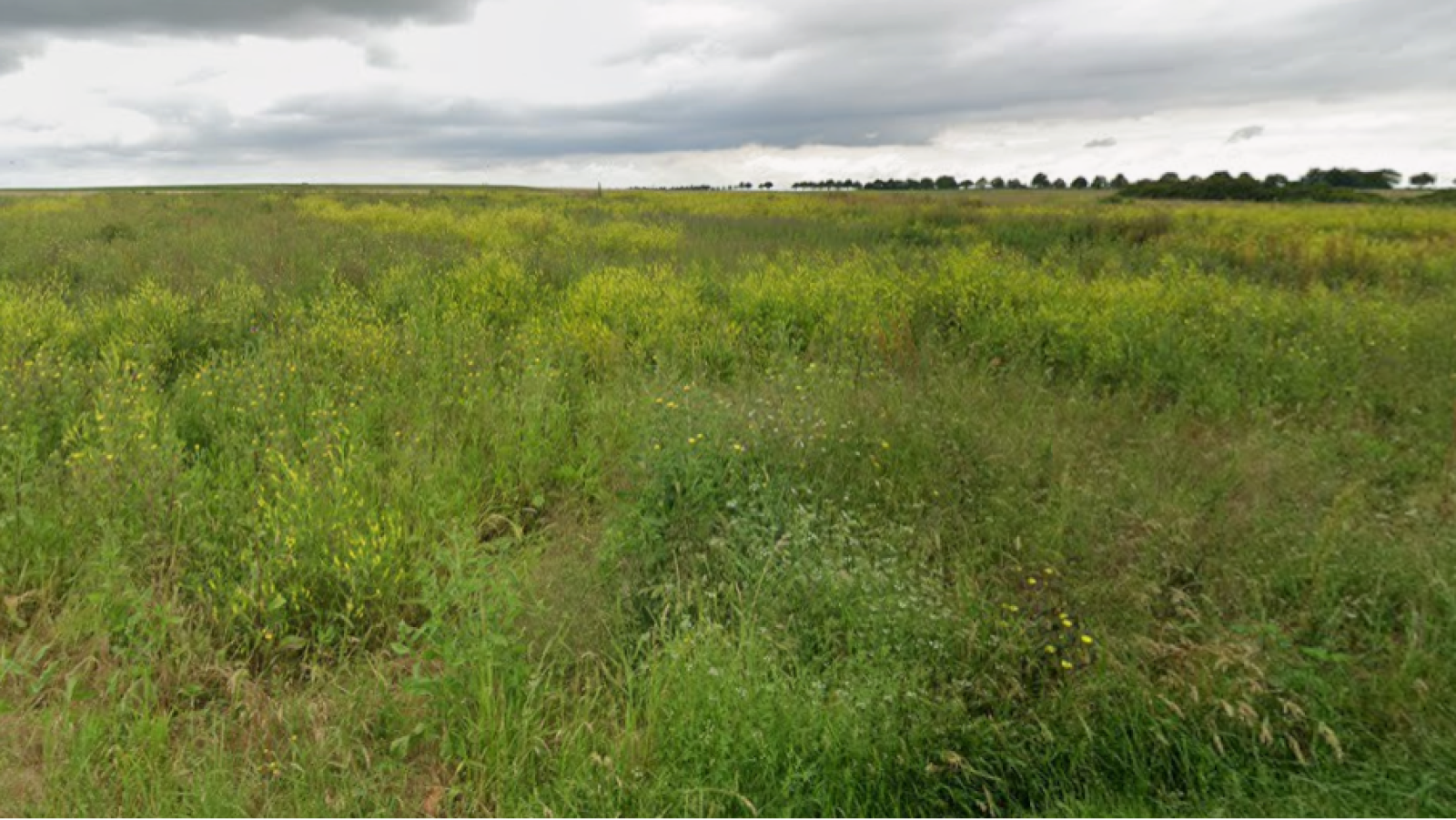 Terrain constructible de 533m2 à Tavers